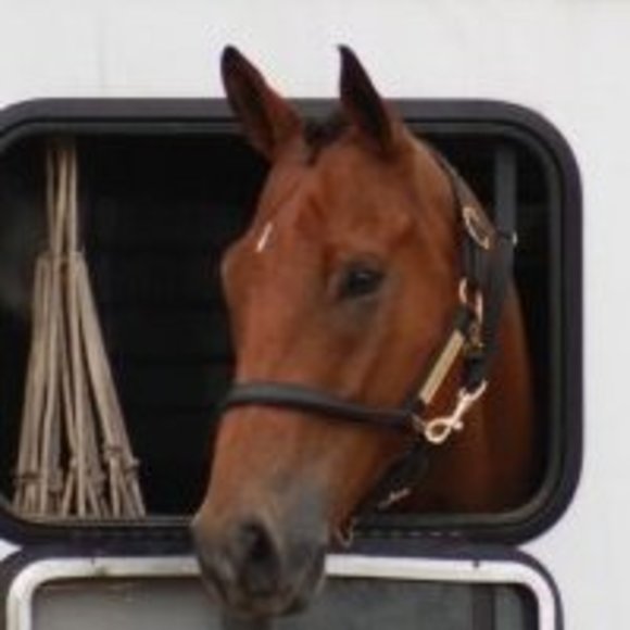 Meet your Posher, Liz - Picture 1 of 1